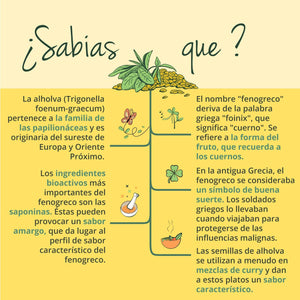 Fenogreco BIO | Dosis Alta: 2900 Mg | Para Lactancia Materna | Sin Aditivos | FENUGREEK | 120 Capsulas | Vegavero | Vegano