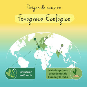 Fenogreco BIO | Dosis Alta: 2900 Mg | Para Lactancia Materna | Sin Aditivos | FENUGREEK | 120 Capsulas | Vegavero | Vegano