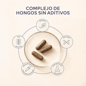 Melena De Leon 18,000Mg (30:1) + Zinc, Reishi & Cordyceps - Alta Potencia Lions Mane Mushroom Pastillas -120 Melena De Leon Capsulas - Nootropicos