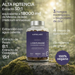 Melena De Leon 18,000Mg (30:1) + Zinc, Reishi & Cordyceps - Alta Potencia Lions Mane Mushroom Pastillas -120 Melena De Leon Capsulas - Nootropicos